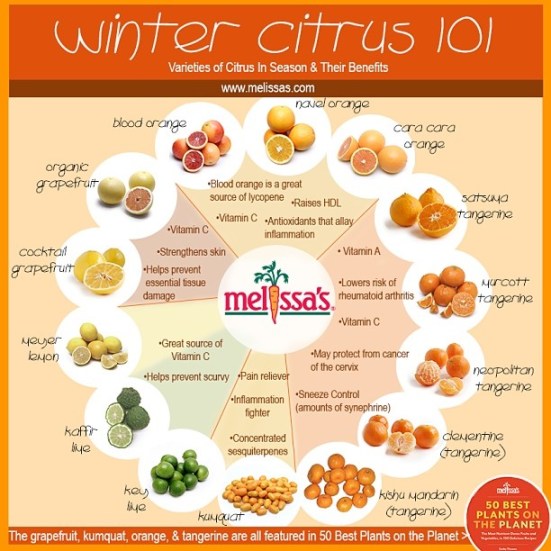 winter citrus