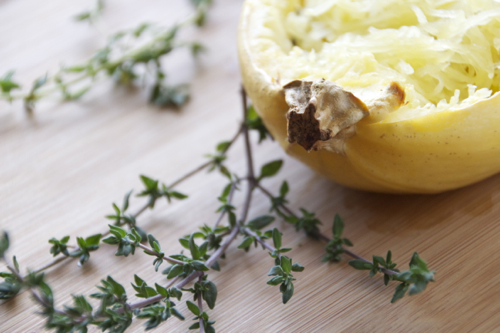 spaghetti squash 2