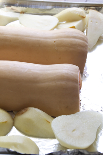 butternut squash 5